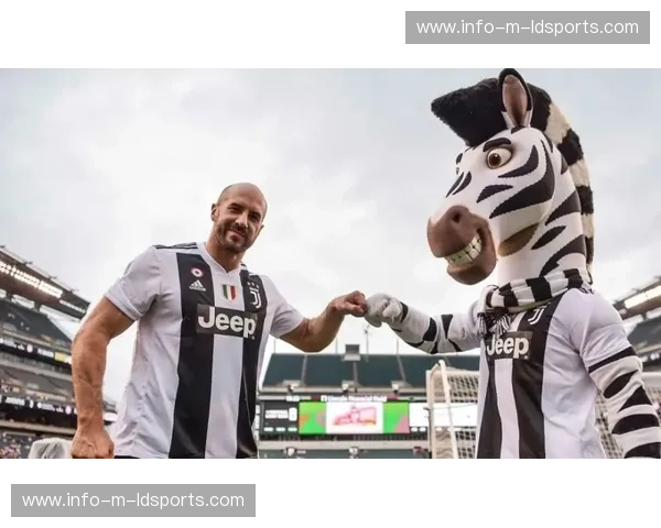 摔跤转会：力与心的进阶之路